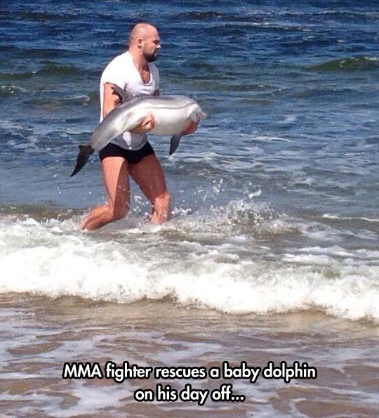 Noću brutalni borac, danju dobra duša koja spašava dupinčiće