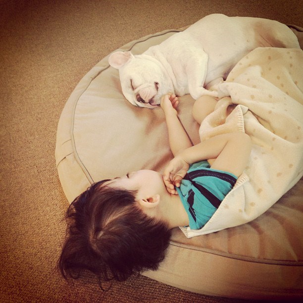 Uz najboljeg prijatelja najslađe se spava