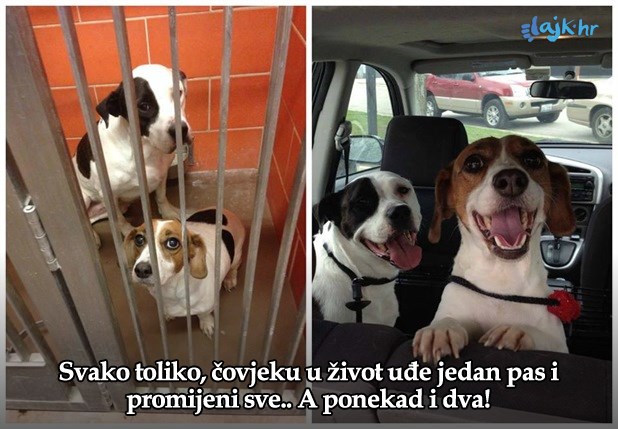 Više dobiješ nego što daješ