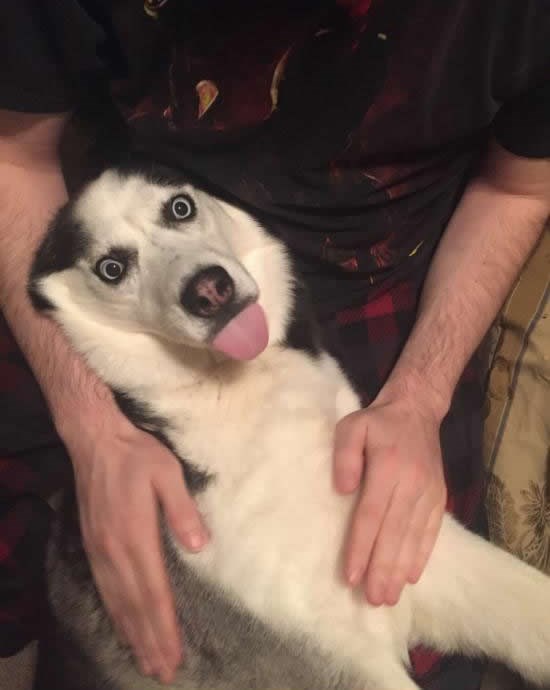 Kad ti se potrga pas