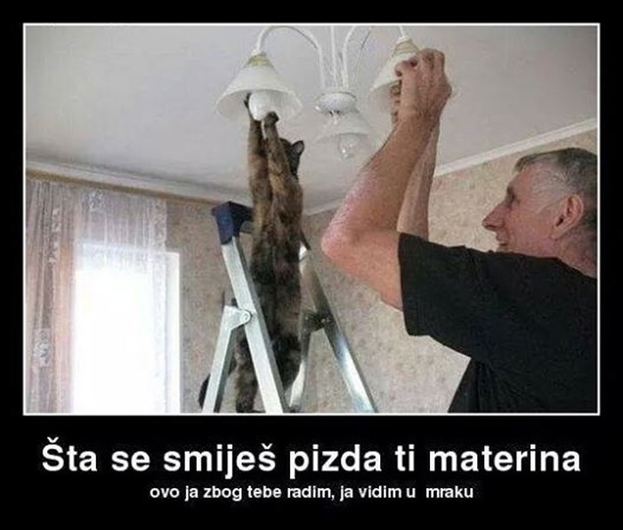 Mačka otkrila zašto šarafi žarulje