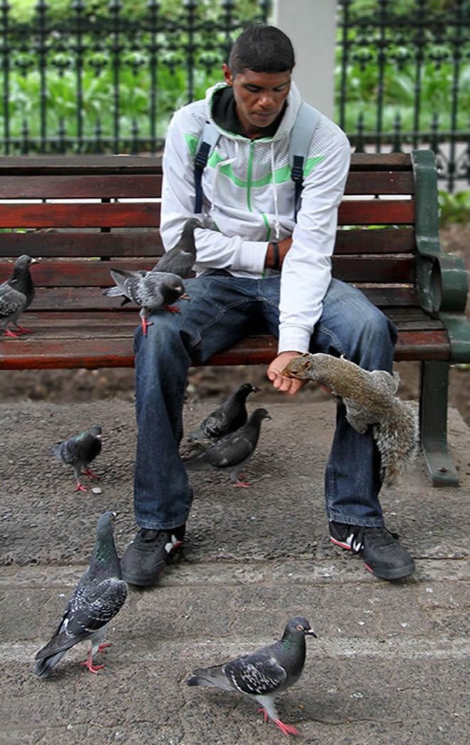 U skladu s prirodom: Umjesto otrova i smrti, pomozi im malo