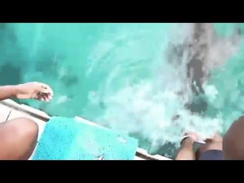 VIDEO: Nevjerovali ili da - mobitel joj ispao u more, ali pojavio se spretni dupin!