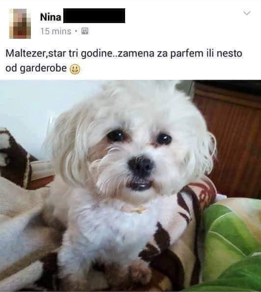 Oglas mlade djevojke koji je razljutio tisuće ljudi i zaradio hrpu negativnih komentara