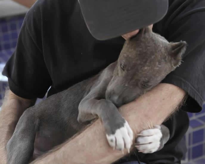 Misliš da ne možeš promijeniti svijet?