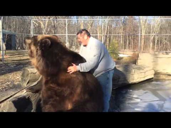 Suludo hrabri muškarac mazi najvećeg medvjeda kojeg ste ikad vidjeli kao da je štene!