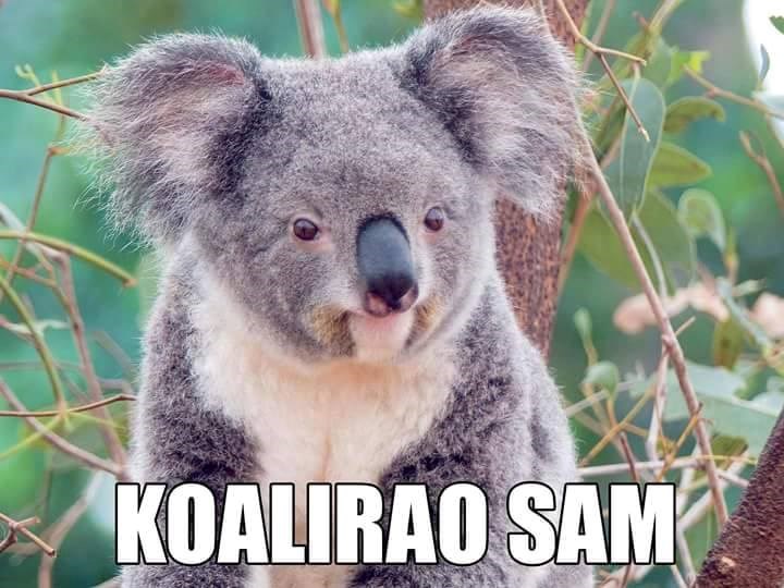 Jedino korisno koaliranje