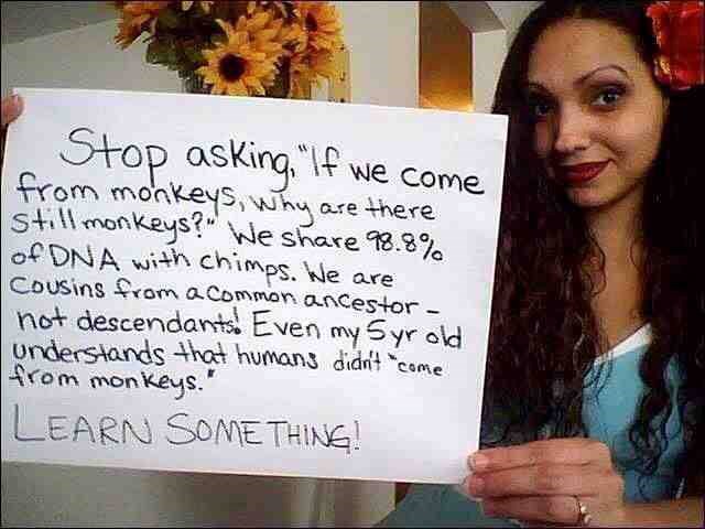 Ne budi majmun, nismo nastali od majmuna!