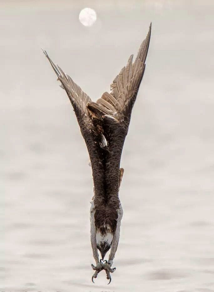 Što god je naciljao, nek' se pomiri s bogom