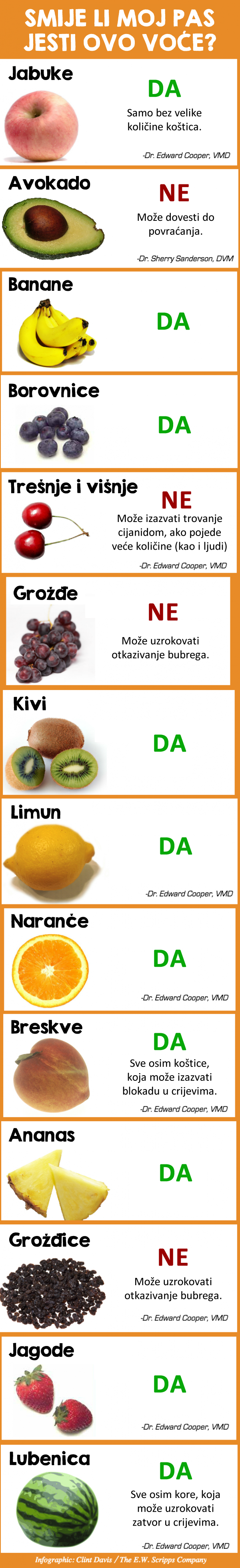 Smijeli vaš pas jesti ovo voće? Saznajte!
