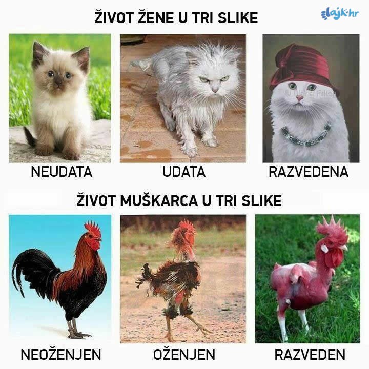 Život u tri čina