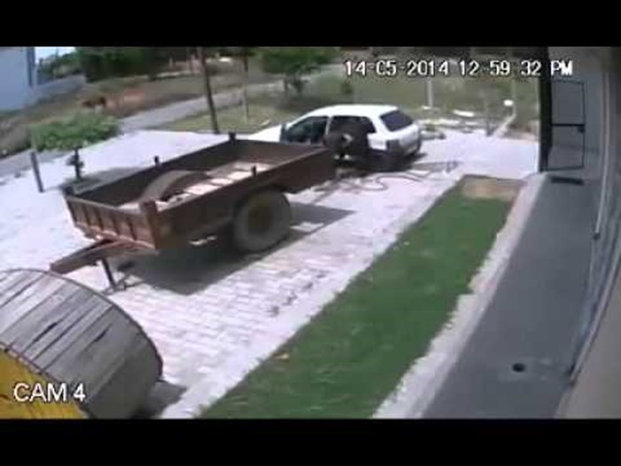 Za ne povjerovati: Lopov ugurao tuđu kravu u auto i pobjegao!