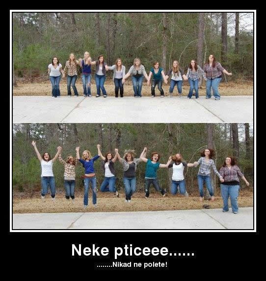 Neke ptice nikad ne polete