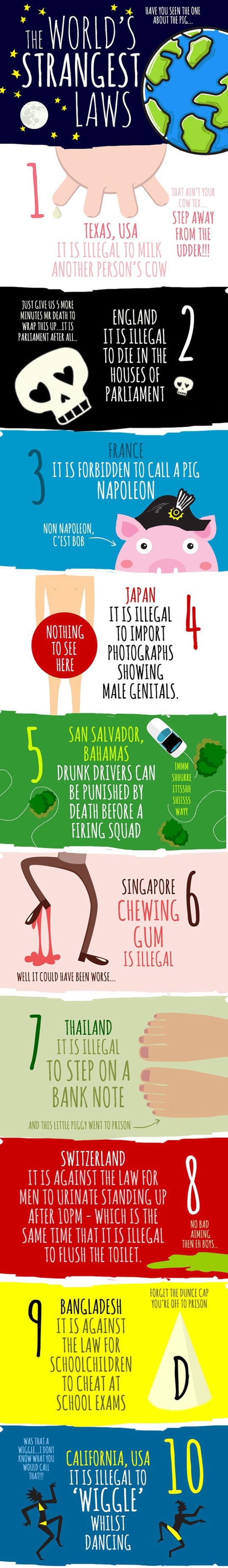 Najčudniji svjetski zakoni: Ilegalne žvake i muška spolovila