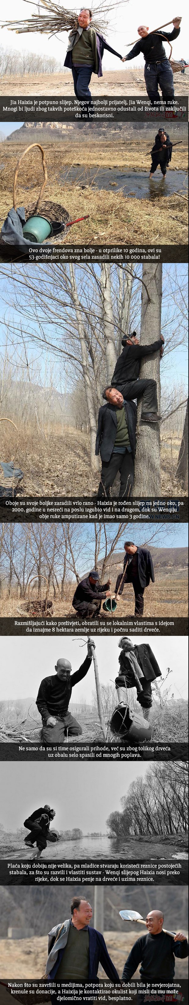 Galerija: Dvojica prijatelja zasadila 10 tisuća stabala, ali pravi šok slijedi kad vidite slike!