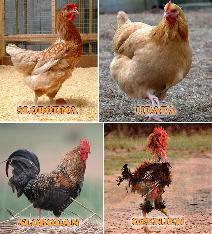 Ženama je bolje u braku?