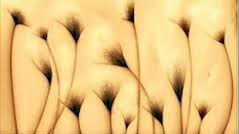 Perverznjaci, uhvaćeni ste!