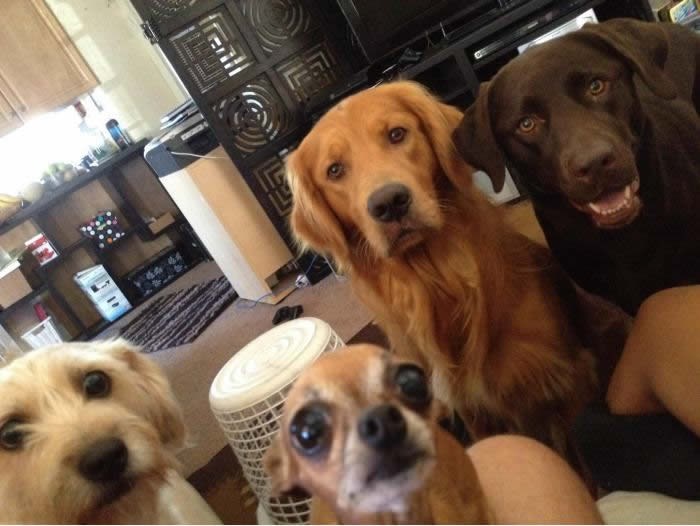 Krenuo jesti sendvič i evo što ga dočekalo