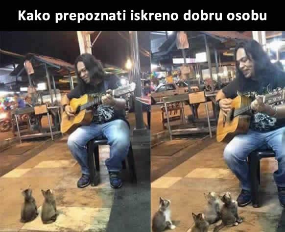 Nitko ga nije slušao osim ovih maca