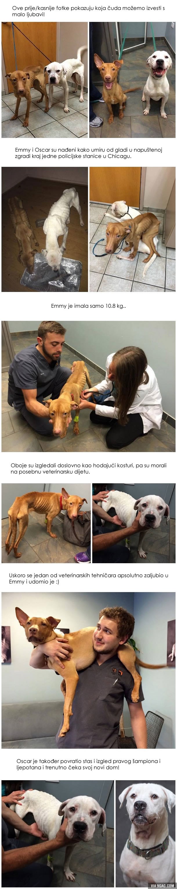 GALERIJA: Bili su hodajući kosturi, a pogledajte tu ljepotu sada!