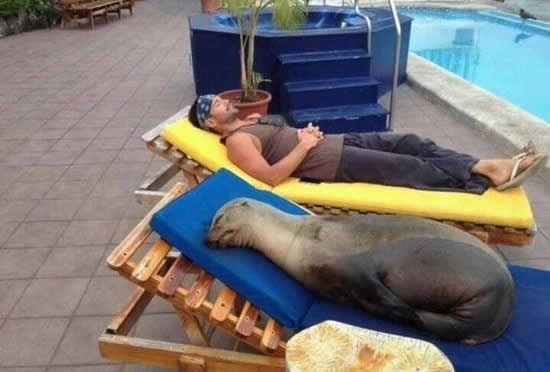 Kakav gazda, takav tuljan