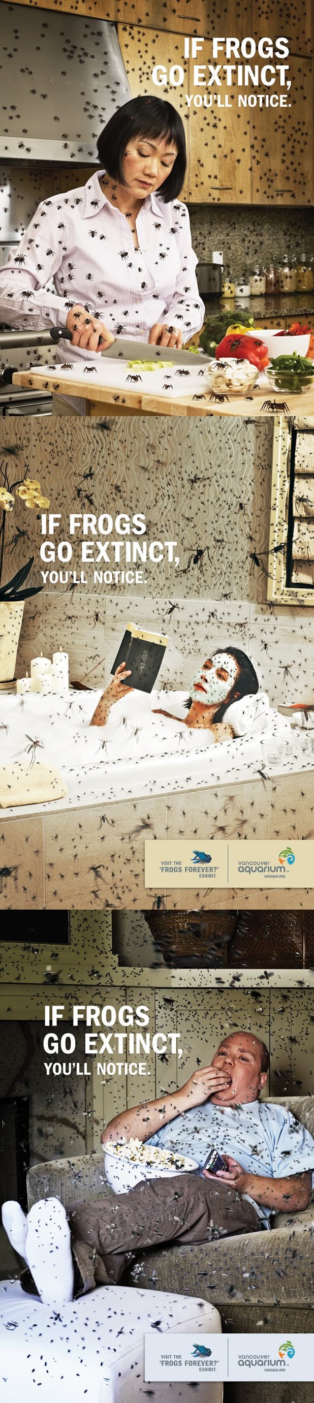 Ako izumru žabe, ljudski rod je gotov