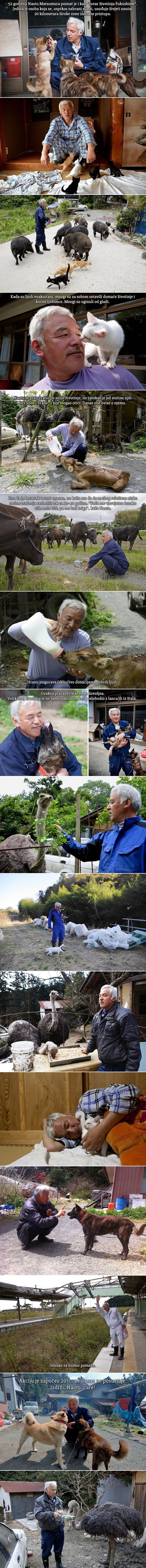 Anđeo iz Fukushime: "Radioaktivni čovjek" posvetio život napuštenim životinjama