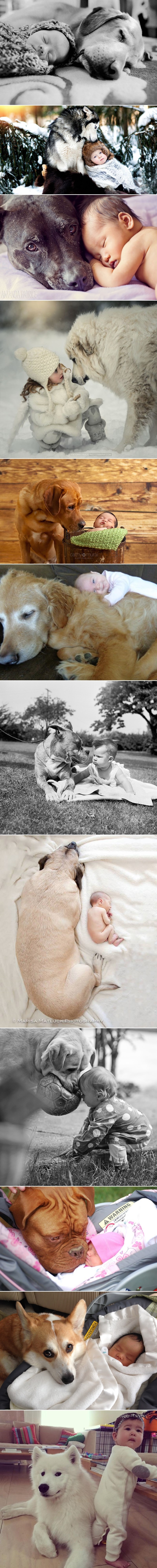 Galerija: Ima li mirnijeg sna nego s  frendom koji bi za tebe život dao?