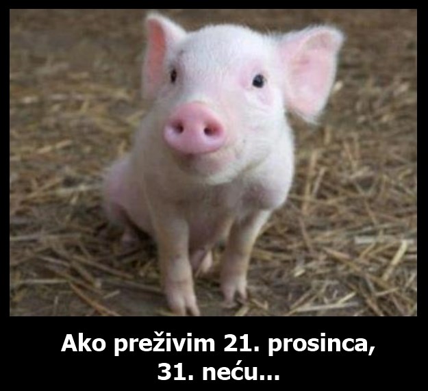 Prasencu godina završava smakom svijeta kako god okreneš