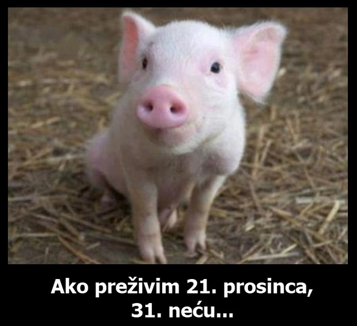 Prasencu godina završava smakom svijeta kako god okreneš
