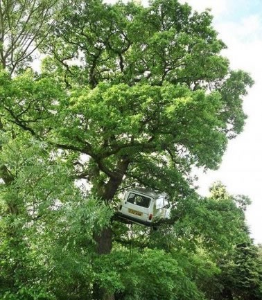 Lakše s kuplungom deda: Krntijom na drvo k'o ptičica