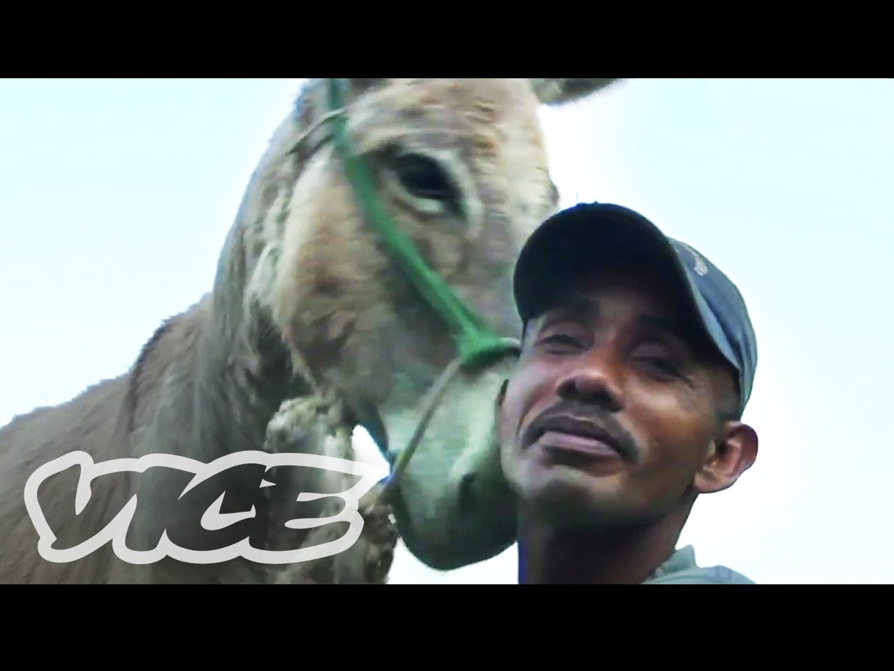 Klinci se seksaju s magarcima i to je njima posve normalno