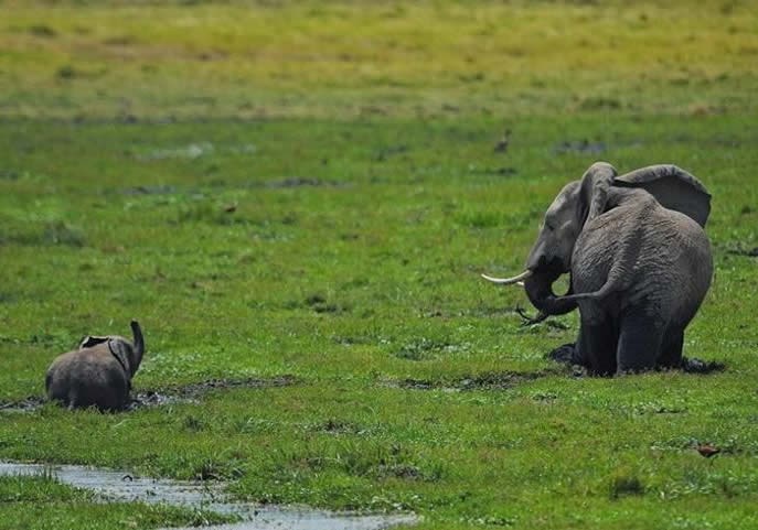 Tata, pa ovo mi je najbolje brčkanje u blatu ikad!