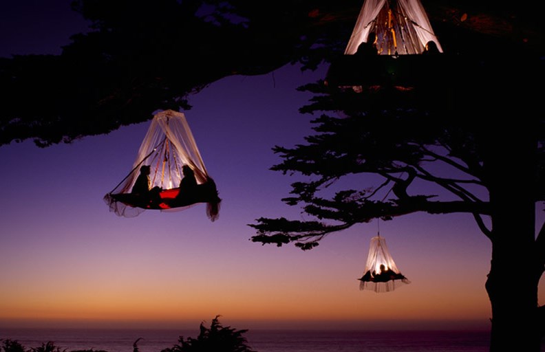 Romantično kampiranje na drveću