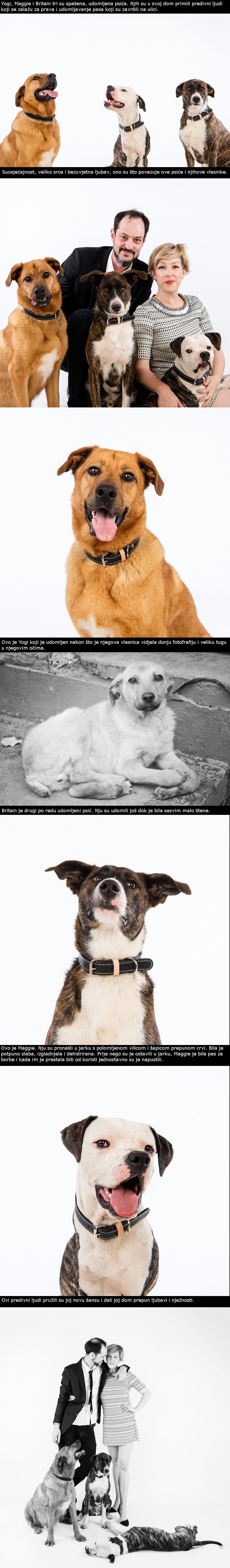 Pronašli su psa u jarku i odlučili mu pružiti topli dom 