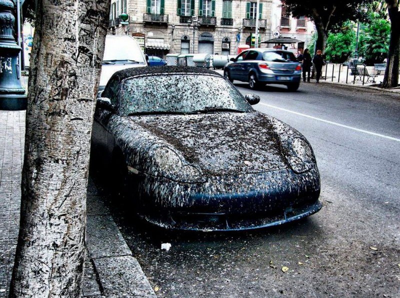 Nešto je gadno bogu skrivio