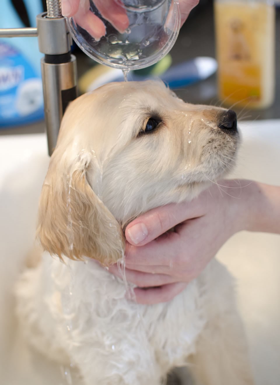 Slatkić na nježnom kupanju