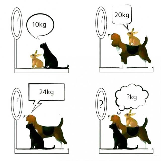 Test za mozak: Koliko su teški pas, mačka i zec?