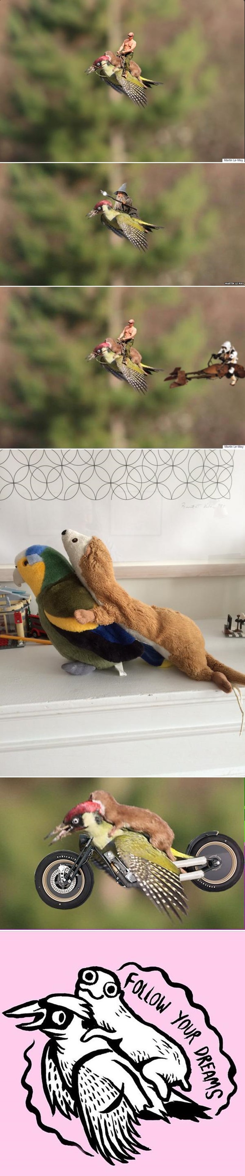 Slika dana postala meme: Putin ukrotio djetlića