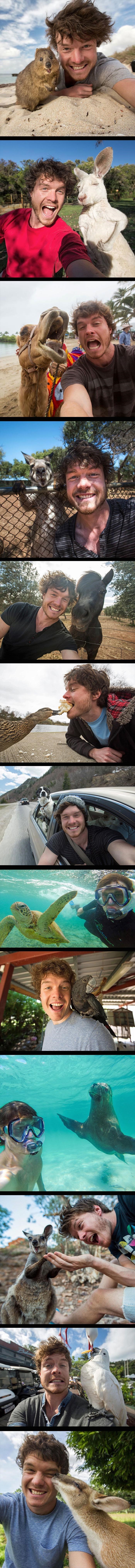 Ovo se zove selfi: Muškarac radi naluđe selfije sa životinjama