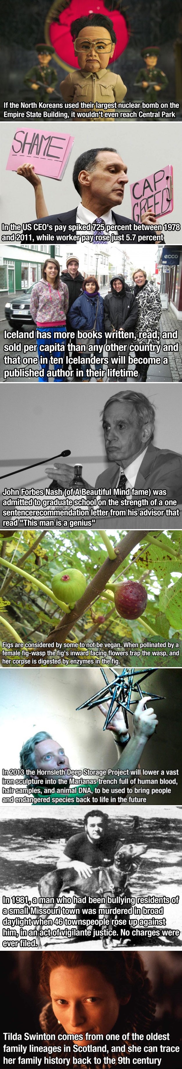 Smokve su mesožderke: Dnevna doza zanimljivosti