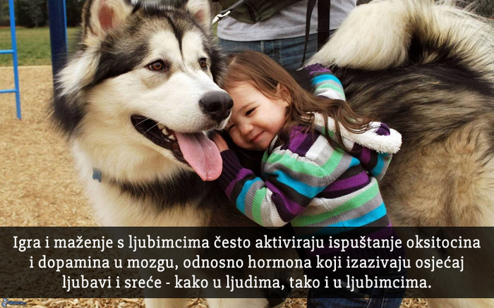 Zašto smo s ljubimcima sretniji