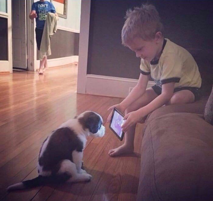 Dječak pokušava dresirati psa, nije baš najbolje shvatio tatin savjet