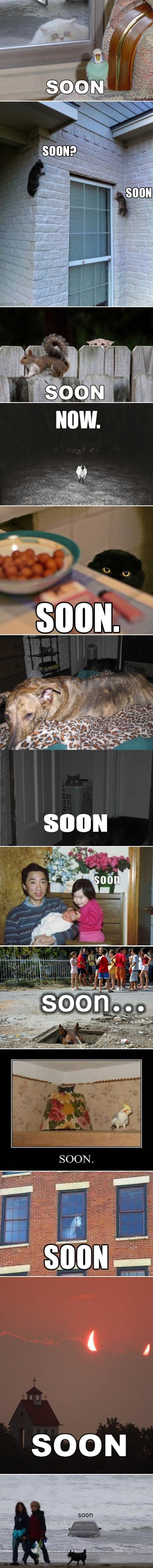 Galerija: Boj se, jako se boj!