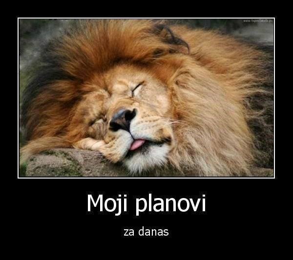 Svatko normalan na današnji dan