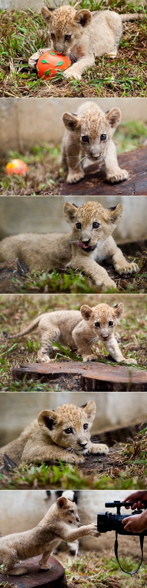 Lavić Bantu uživa u igri, na kraju se dočepao i fotića