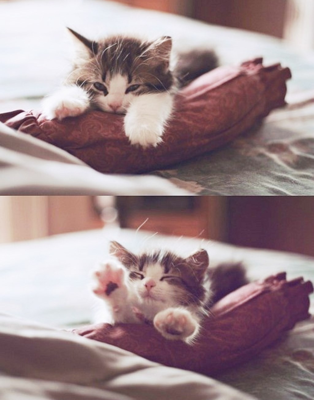 Jaoo, kako se teeeeško probuditi, mrnjauu!