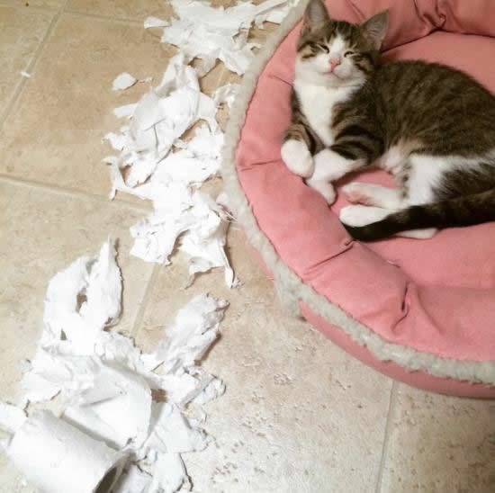 Nemam pojma, ja spavam, makni se