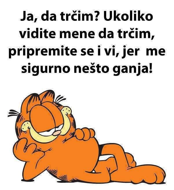 Garfield doveo lijenost do savršenstva