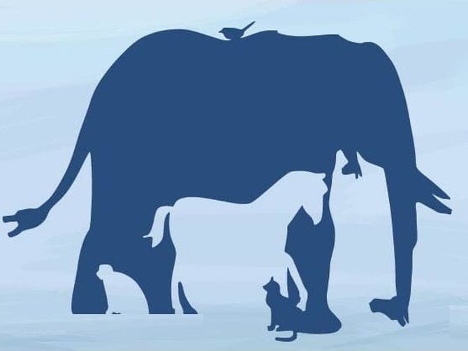 Slika koja je posvađala internet: Koliko životinja vidite na njoj?!